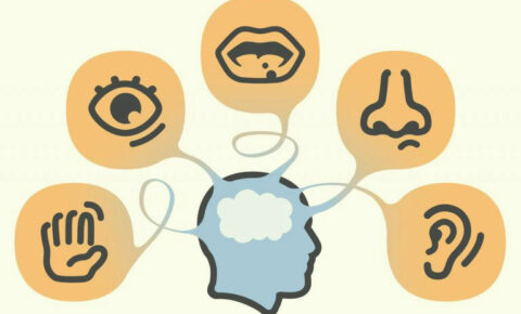 Sala de Bajos Estímulos Sensoriales