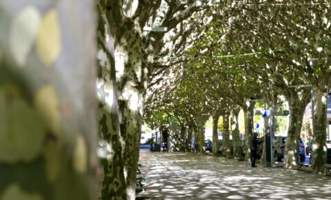 Passeig Joan Brudieu