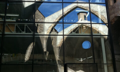 Tarda de jocs amb Brain Picnic, Djeco i Looping Games